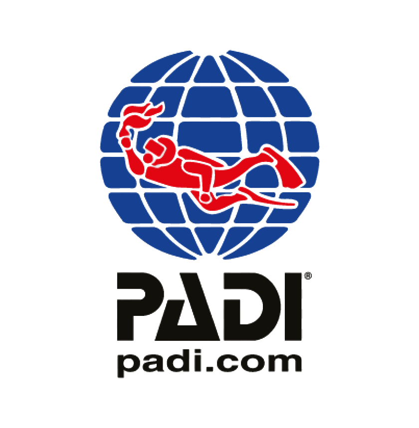 logo padi.png (207 KB)